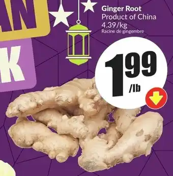 FreshCo Ginger Root offer