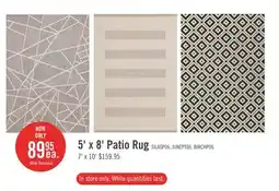 The Brick 5' x 8' Patio Rug offer