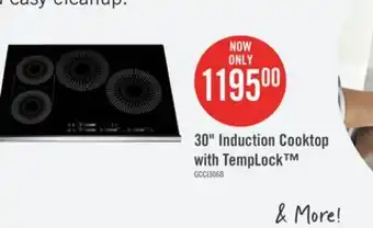 The Brick Frigidaire Gallery 30 4-Element Induction Cooktop - Black - GCCI3067AB offer