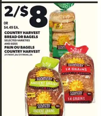 Independent City Market COUNTRY HARVEST BREAD OR BAGELS offer