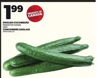 Independent City Market ENGLISH CUCUMBERS, EACH offer