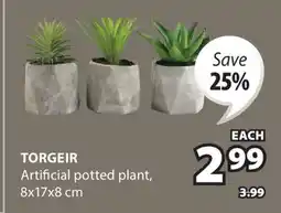 JYSK TORGEIR Artificial potted plant offer