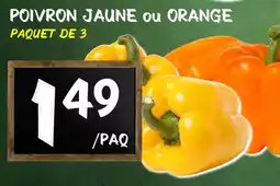 Marche Salaberry Poivron Jaune ou Orange offer