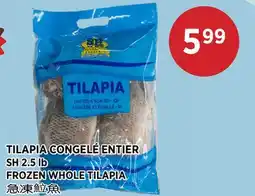 Kim Phat SH FROZEN WHOLE TILAPIA offer