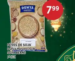 Kim Phat Dunya Harvest SOYA BEANS offer