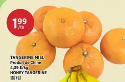 Kim Phat HONEY TANGERINE offer