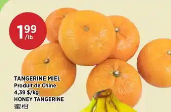 Kim Phat HONEY TANGERINE offer