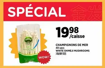 Kim Phat WHITE SHIMEJI MUSHROOMS offer