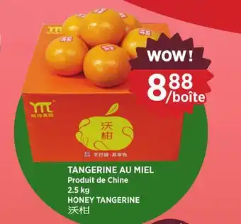 Kim Phat HONEY TANGERINE offer