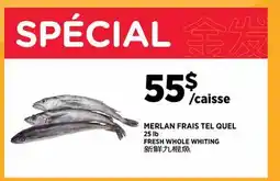 Kim Phat FRESH WHOLE WHITING offer