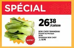 Kim Phat SHANGHAI BOK CHOY offer