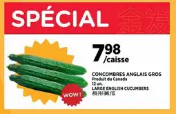 Kim Phat LARGE ENGLISH CUCUMBERS offer