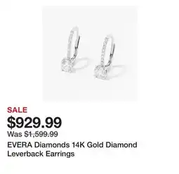 TSC Stores EVERA Diamonds 14K Gold Diamond Leverback Earrings offer