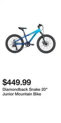 Sport Chek Diamondback Snake 20 Junior Mountain Bike offer