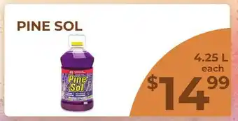 Food World Supermarket PINE SOL offer