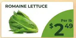 Food World Supermarket ROMAINE LETTUCE offer