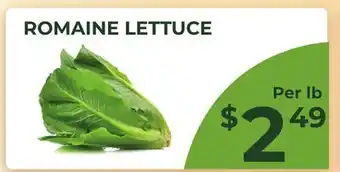 Food World Supermarket ROMAINE LETTUCE offer