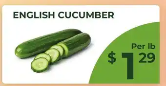 Food World Supermarket ENGLISH CUCUMBER offer