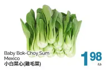 T&T Supermarket BABY BOK-CHOY SUM offer