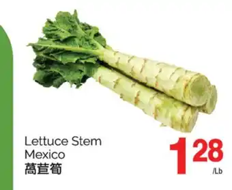 T&T Supermarket LETTUCE STEM offer