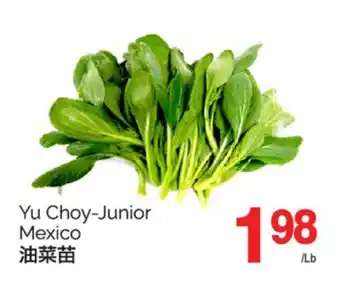 T&T Supermarket YU CHOY-JUNIOR offer