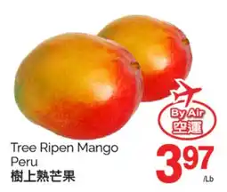 T&T Supermarket TREE RIPEN MANGO offer