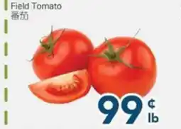 Oceans Fresh Food Market Field Tomato offer