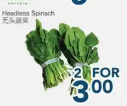 Oceans Fresh Food Market Headless Spinach offer