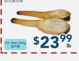 Oceans Fresh Food Market Live Geoduck Clam offer