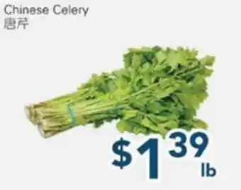 Oceans Fresh Food Market Chinese Celery offer