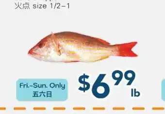 Oceans Fresh Food Market Lane Snapper size 1/2-1 offer