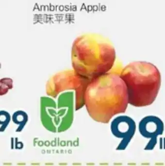 Oceans Fresh Food Market Ambrosia Apple offer