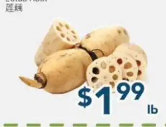 Oceans Fresh Food Market Lotus Root offer