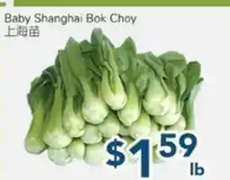 Oceans Fresh Food Market Baby Shanghai Bok Choy offer