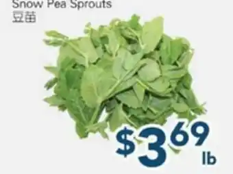 Oceans Fresh Food Market Snow Pea Sprouts offer