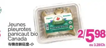 T&T Supermarket JEUNES PLEUROTES PANICAUT BIO offer