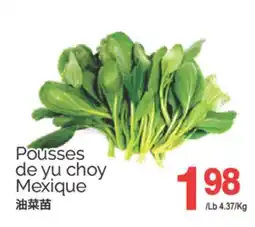 T&T Supermarket POUSSES DE YU CHOY offer