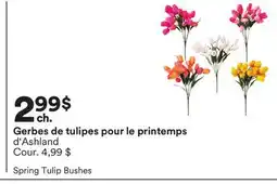 Michaels Gerbes de tulipes pour le printemps d'Ashland offer