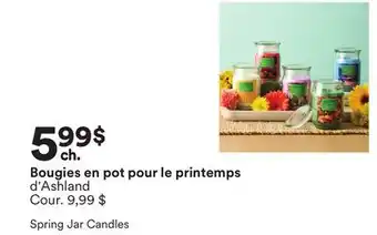 Michaels Bougies en pot pour le printemps d'Ashland offer