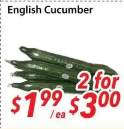 Bestco Food Mart English Cucumber offer