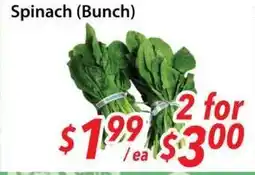 Bestco Food Mart Spinach (Bunch) offer