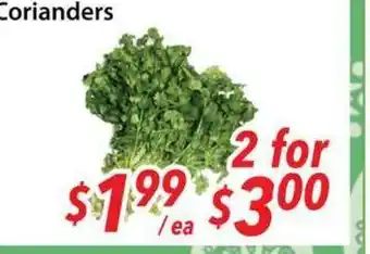 Bestco Food Mart Corianders offer