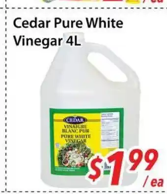 Bestco Food Mart Cedar pure white vinegar offer