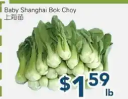 Oceans Fresh Food Market Baby Shanghai Choy offer