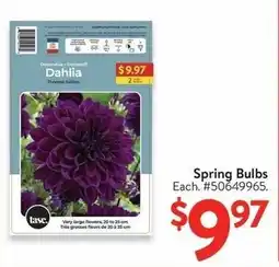 Walmart Spring Bulbs offer