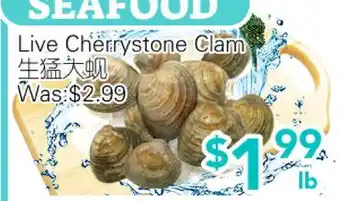 Ample Food Market Live Cherrystone Clam offer