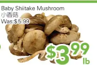 Ample Food Market Baby Shiitake Mushroom offer