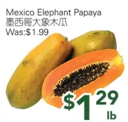 Ample Food Market Nexico Elephant Papaya offer