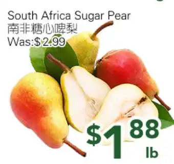 Ample Food Market South Africa Sugar Pear offer