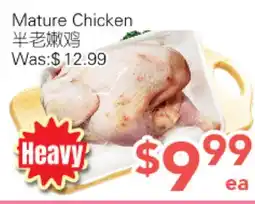 Ample Food Market Mature Chicken offer